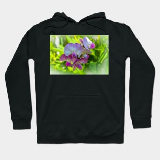 Sweet Pea Blossom Hoodie